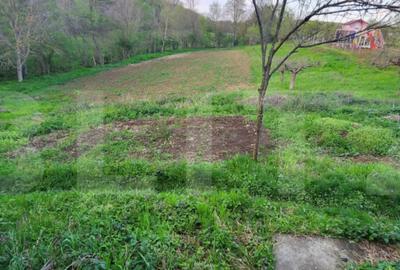 Teren de 6659 mp, în Nisipoasa - 6