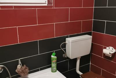 Casă cu 6 camere cu Teren 135 Mp în Alexandriei - 13