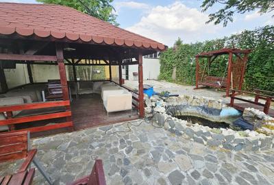 Casă + Afacere + Relaxare = Investiția Perfectă, in Cioranii de Jos - 48