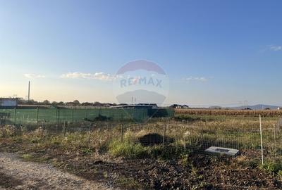 Teren 650mp Sacele - Gata de Construit | Apa si curent -Schimb! - 2