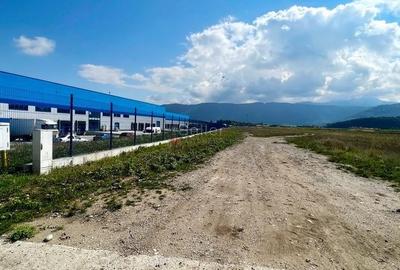 Teren Construcții intravilan de 18134 mp, în Ghimbav Livadă - 2