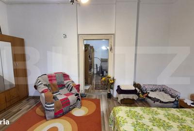 Apartament cu 2 camere semidecomandat în Horea - 2