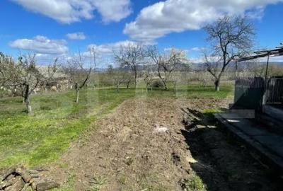Casă cu 3 camere cu Teren 3000 Mp în Central - 7