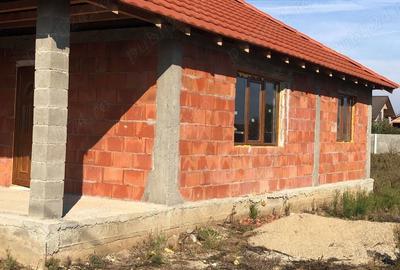 Casă cu 2 camere cu Teren 987 Mp în Peciu Nou - 6