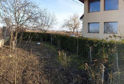 Casă cu 7 camere cu Teren 1450 Mp în Stupini - 3