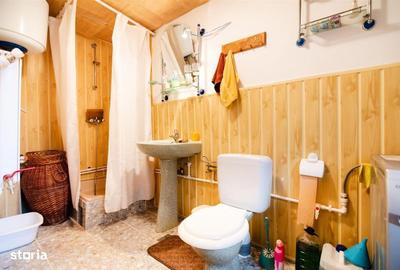 Spațiu comercial, de 300 mp, în Arieșeni - 20