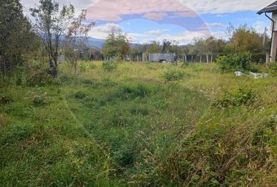 Teren 1,100mp Sighetu Marmatiei / Strada Pescarilor - 5