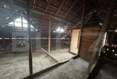 Casă cu 4 camere cu Teren 1842 Mp în Filiași - 5