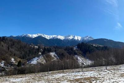 PROPRIETAR - 3274 mp intravilan Simon (BRAN) - 2