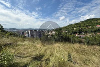 Teren Wewern, Medias - 5