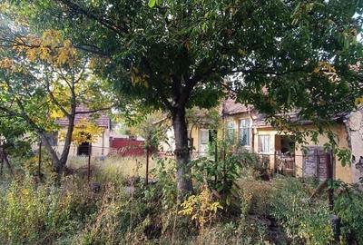 🏡  Casă de Poveste în Șiria, Arad- Locație Rară - 16