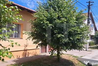 Spațiu comercial, de 7,900 mp, în Botiz - 3