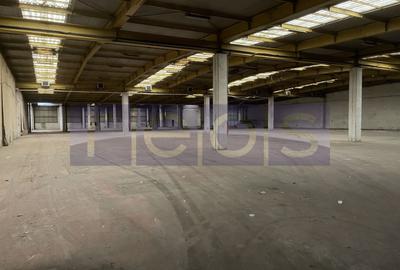 Spațiu industrial, de 19,300 mp, în Odăi - 25