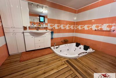 Vanzare casa in Rosia Montana - Muntii Apuseni - 6