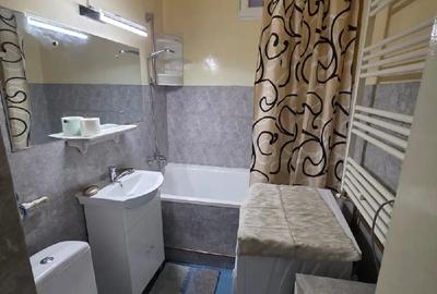 Apartament 2 camere decomandate in Gura Campului - 4