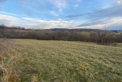 Teren de 2900 mp, în Baciu - 3
