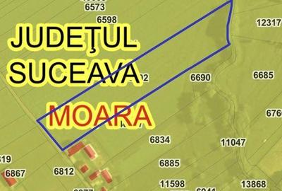 Spațiu comercial, în Moara - 1