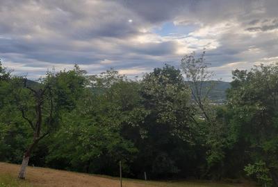 Teren în Dăești - 4
