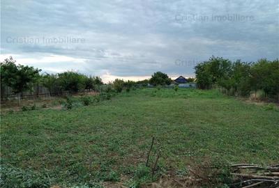 Teren intravilan de 1750 mp, în Cazasu - 4