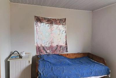 Casă cu 2 camere cu Teren 1850 Mp în Valea Mare de Criș - 2