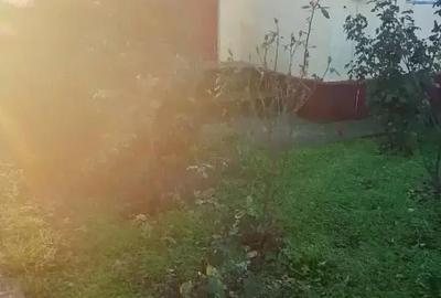 Casă cu 6 camere cu Teren 2200 Mp în Jilavele - 1