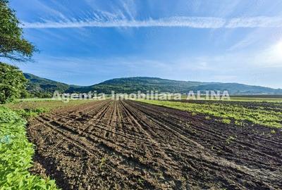 Teren de 4094 mp, în Șoimuș