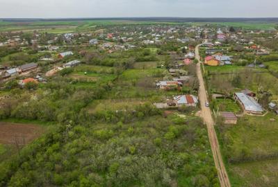 LETCA NOUA, TEREN CONSTRUCTII 1184 MP, FRONT 21 M ! - 4