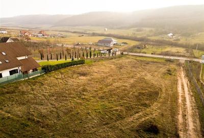 RECO Teren intravilan  langa padure-PUZ  aprobat -Betfia, aproape de Baile Felix - 1