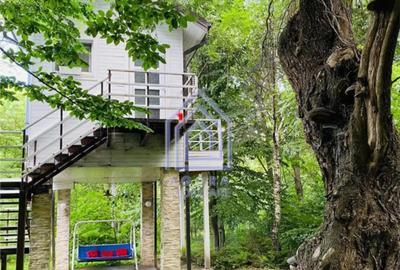 Teren de 954 mp, în Central - 7