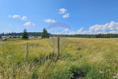 Teren Construcții intravilan de 30930 mp, în Poiana Stampei - 14