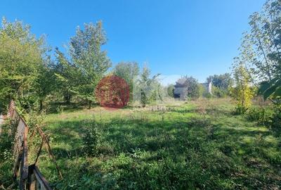 Loturi 500mp Strada Nuferilor-Petrom City - 10