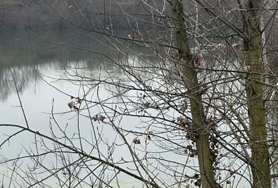 Spațiu comercial, în Batăr - 2