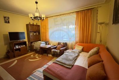 Casa 4 camere P+1, Teren 433 mp - Str. Cornului - Carei - 4