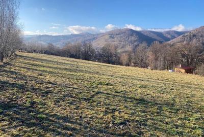 Spațiu comercial, în Moieciu