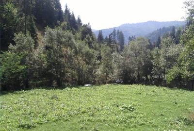 Teren de 5062 mp, în Voineasa - 2