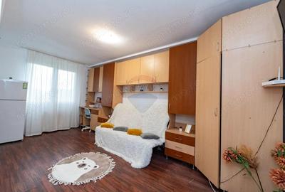 Garsoniera moderna, pets allowed! - 3