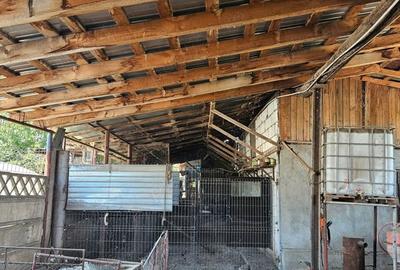 Casă cu 5 camere în Caracal - 7