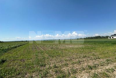 Teren agricol extravilan de 5300 mp, în Frătăuții Vechi - 1