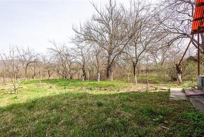 FILM! Casa  pe domeniu de 3.117 mp, Viperesti  Buzau - 13