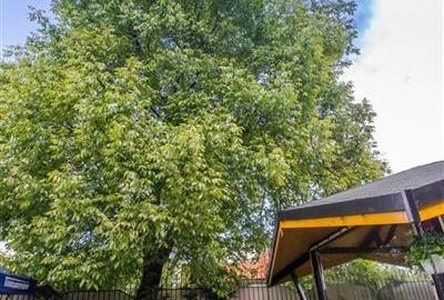 Rezidential/ comercial cu preluare profit - 13