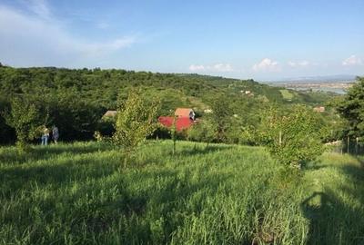 Teren de 1765 mp, în Podgoria - 1