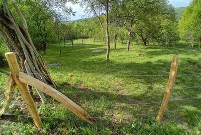 Teren de vanzare in Bradulet Arges - 2