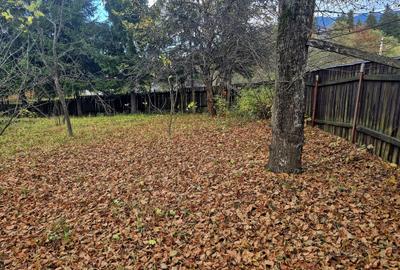 Casa de vacanta Timisu de Sus/Brasov/Oportunitate investitie - 9