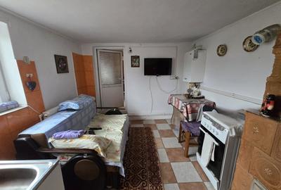 Casa cu Teren intravilan 1500 mp, Centrala termica, Poiana Lacului - 60.000 € - 9