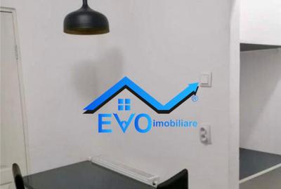 Apartament cu 2 camere de inchiriat, parter, zona Cantemir - 10