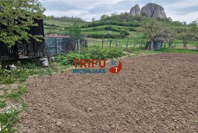 Casă cu 3 camere cu Teren 1338 Mp în Meteș - 10