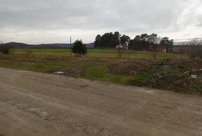Teren de 2200 mp, în Valea Crișului - 6