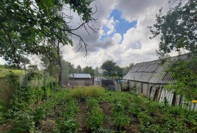 Teren 5000mp, langa padure, Dobrovat - 2