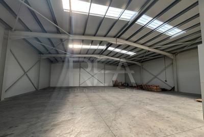 Inchiriere Hala 600 mp CHITILA PARC TBM - 3