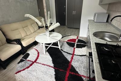 Garsonieră semidecomandată, mobilată în Bistrița Lac